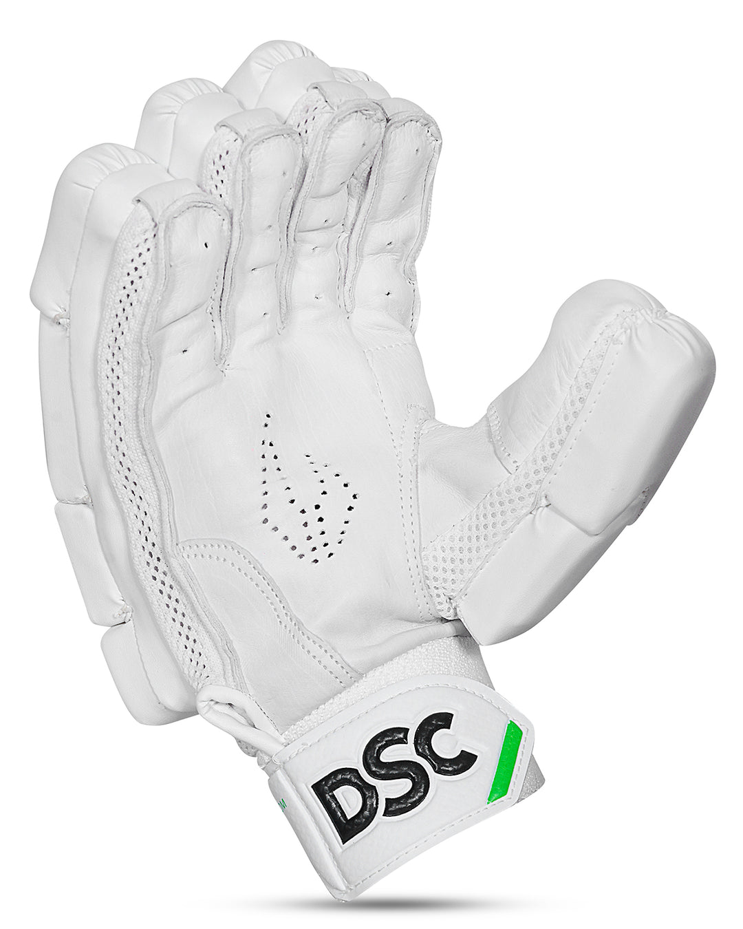 DSC 6.0 Cricket Batting Gloves - Large Adult