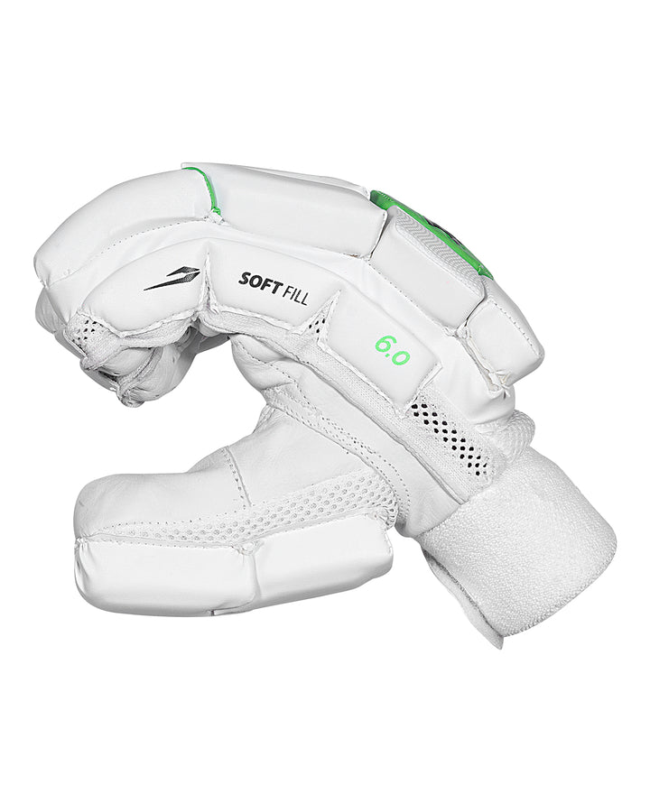 DSC 6.0 Cricket Batting Gloves - Large Adult