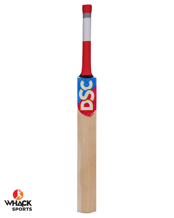 DSC Intense Pro Technique/Eye In Kashmir Willow Training Bat - Boys/Junior