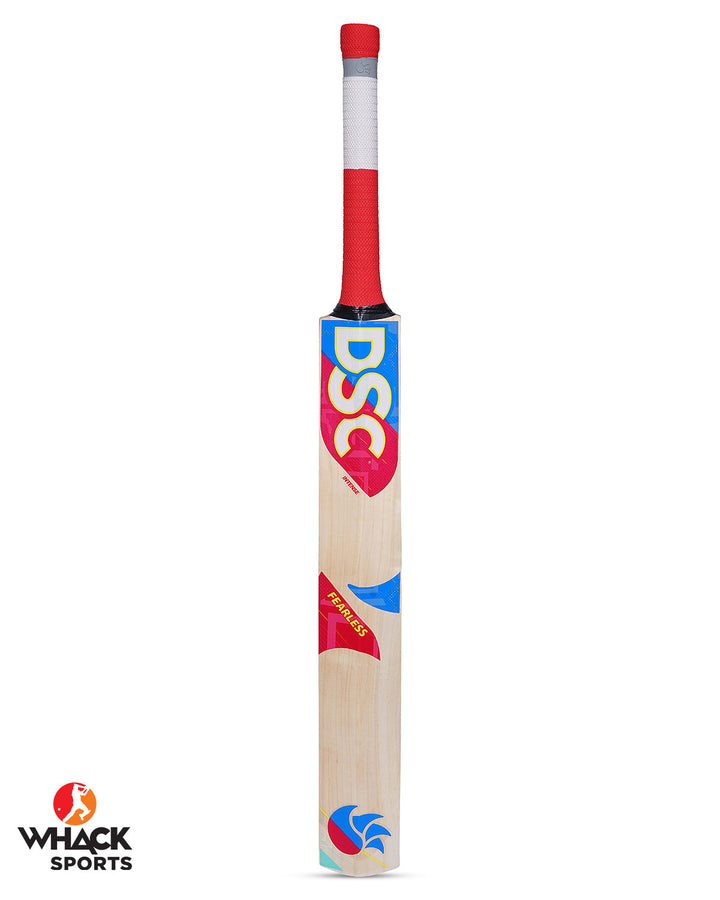 DSC Intense Pro Technique/Eye In Kashmir Willow Training Bat - Youth/Harrow