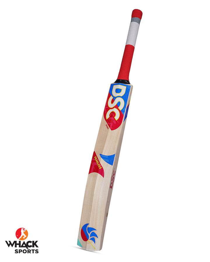 DSC Intense Pro Technique/Eye In Kashmir Willow Training Bat - Youth/Harrow