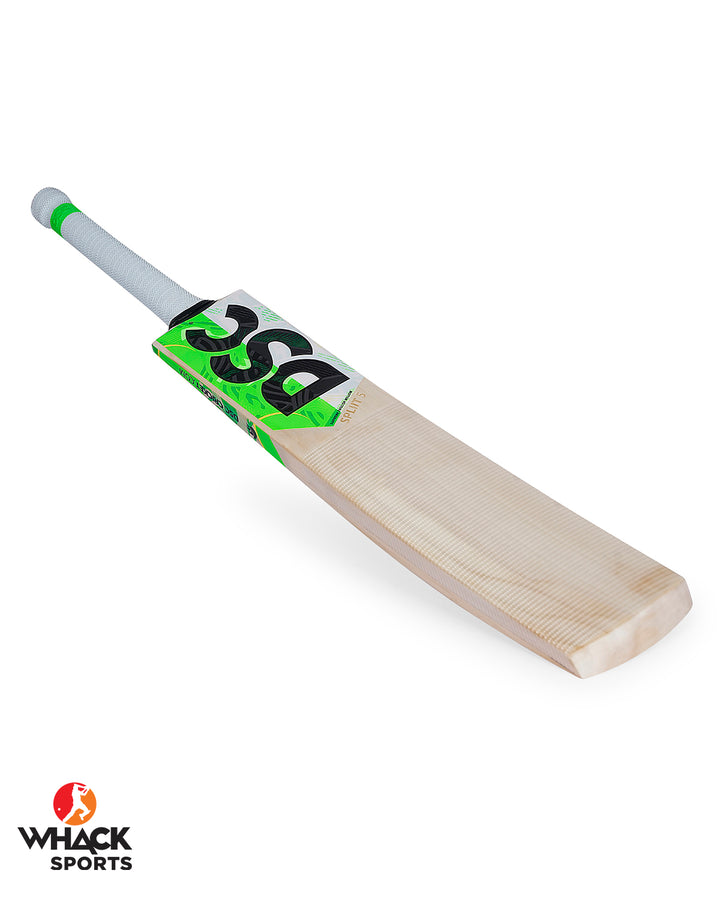 DSC Spliit 6 English Willow Cricket Bat - Boys/Junior (2024/25)