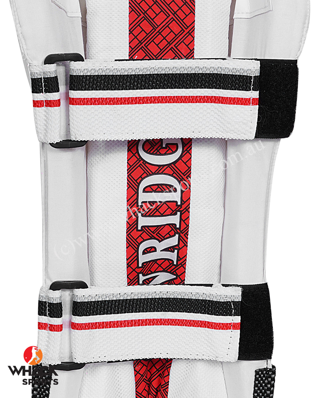 SS Limited Edition Cricket Keeping Pads - Adult
