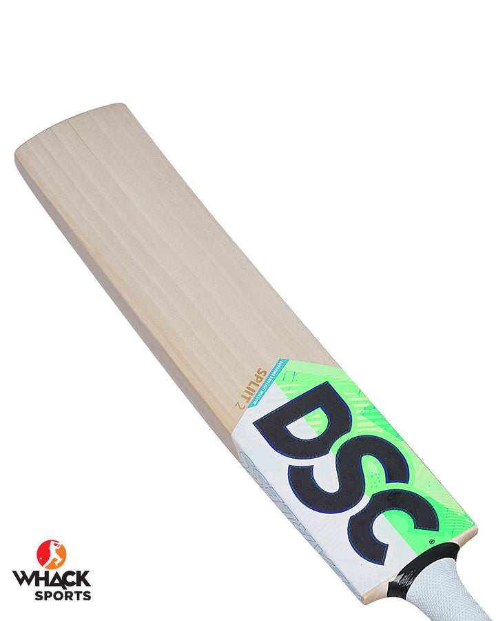 DSC Spliit 2 English Willow Cricket Bat - SH (2023/24)