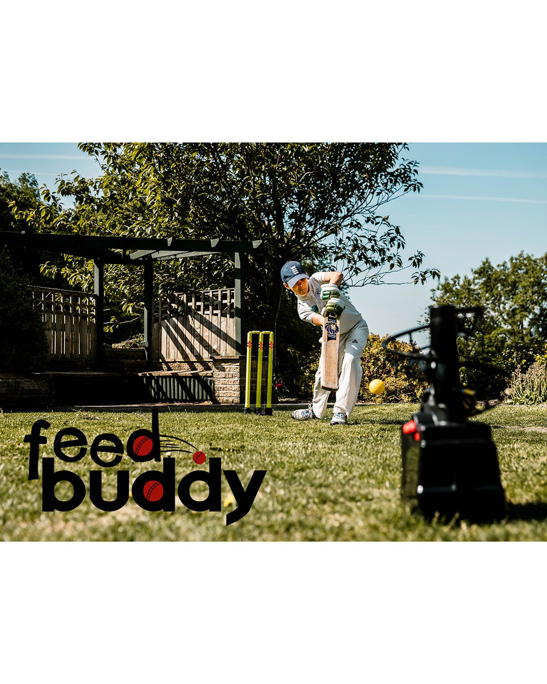 Feed Buddy - Automatic Cricket Feed Machine