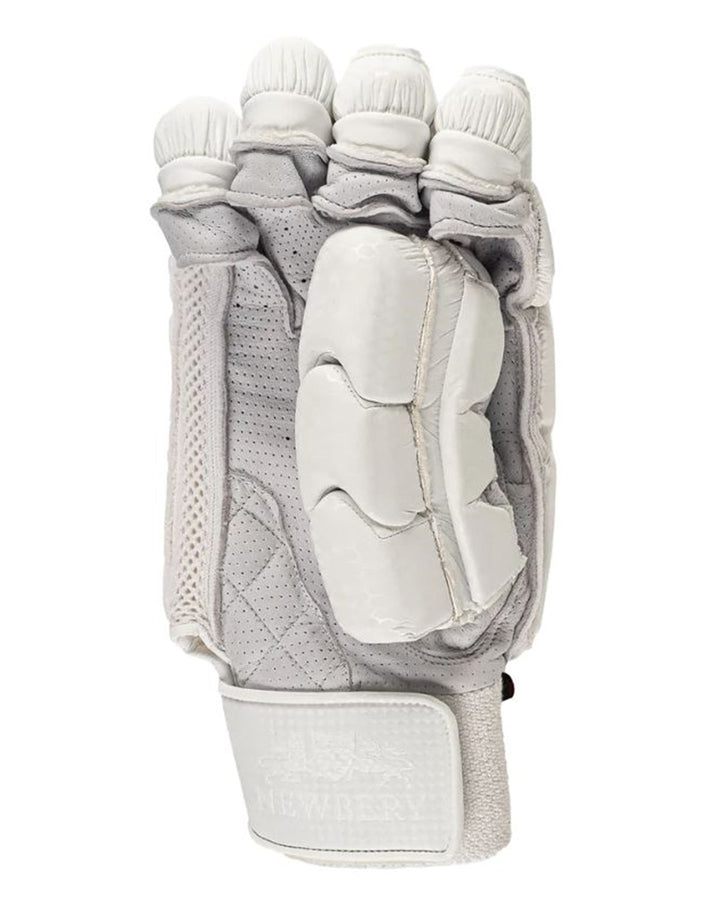 Newbery SPS Elite Cricket Batting Gloves - Youth