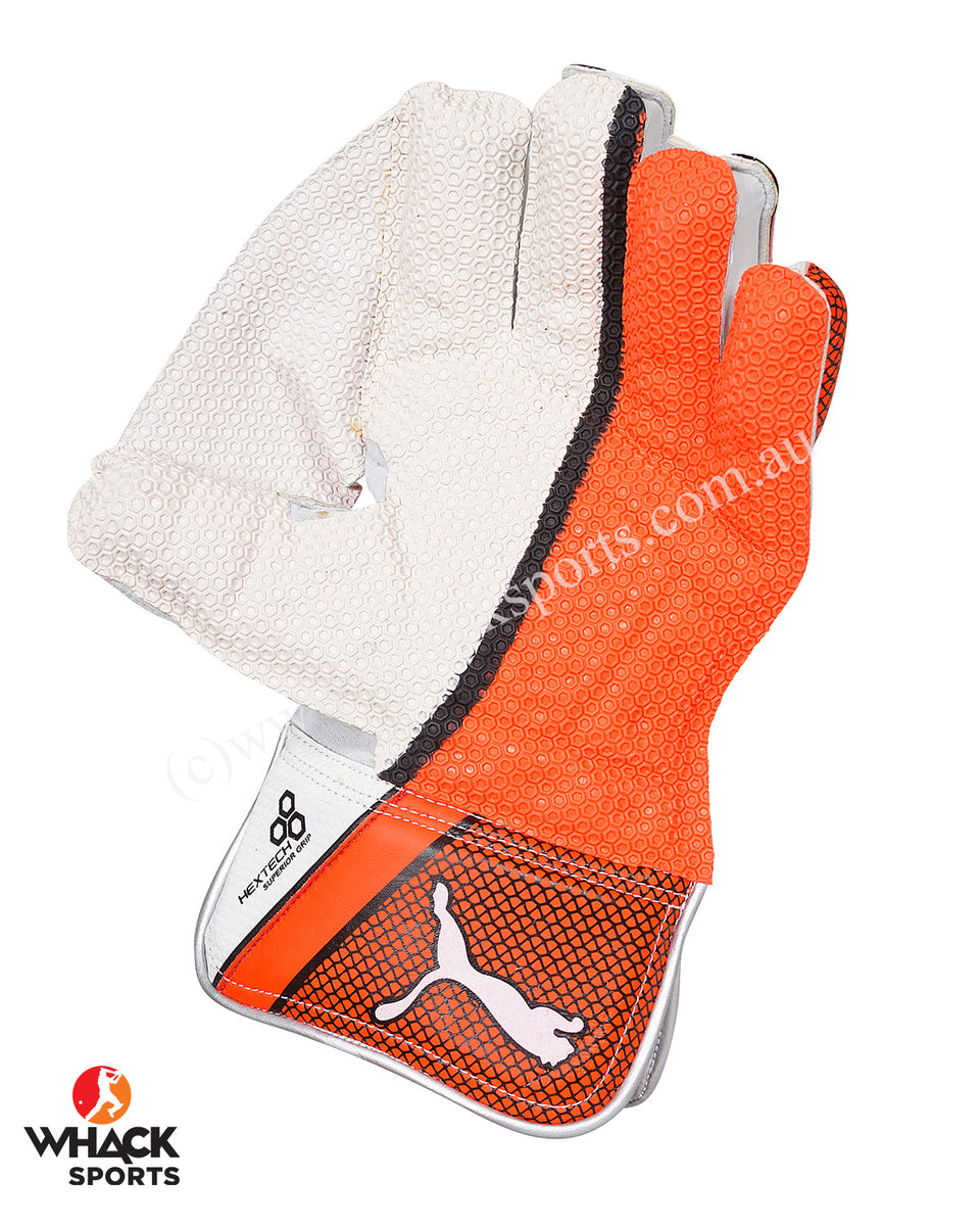 Puma evo 2 cheap wicket keeping gloves