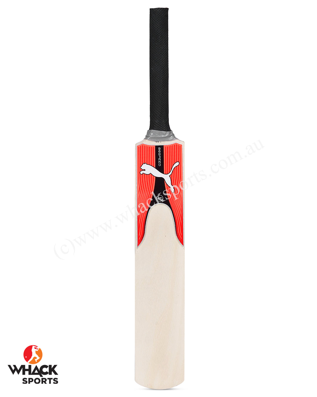 Puma Miniature Bat