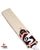 SG RP 5 Grade 3 Cricket Bundle Kit