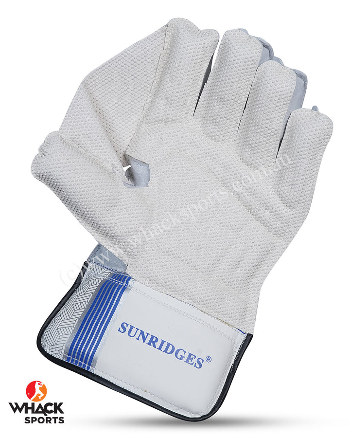 SS Dragon Cricket Keeping Gloves - Adult
