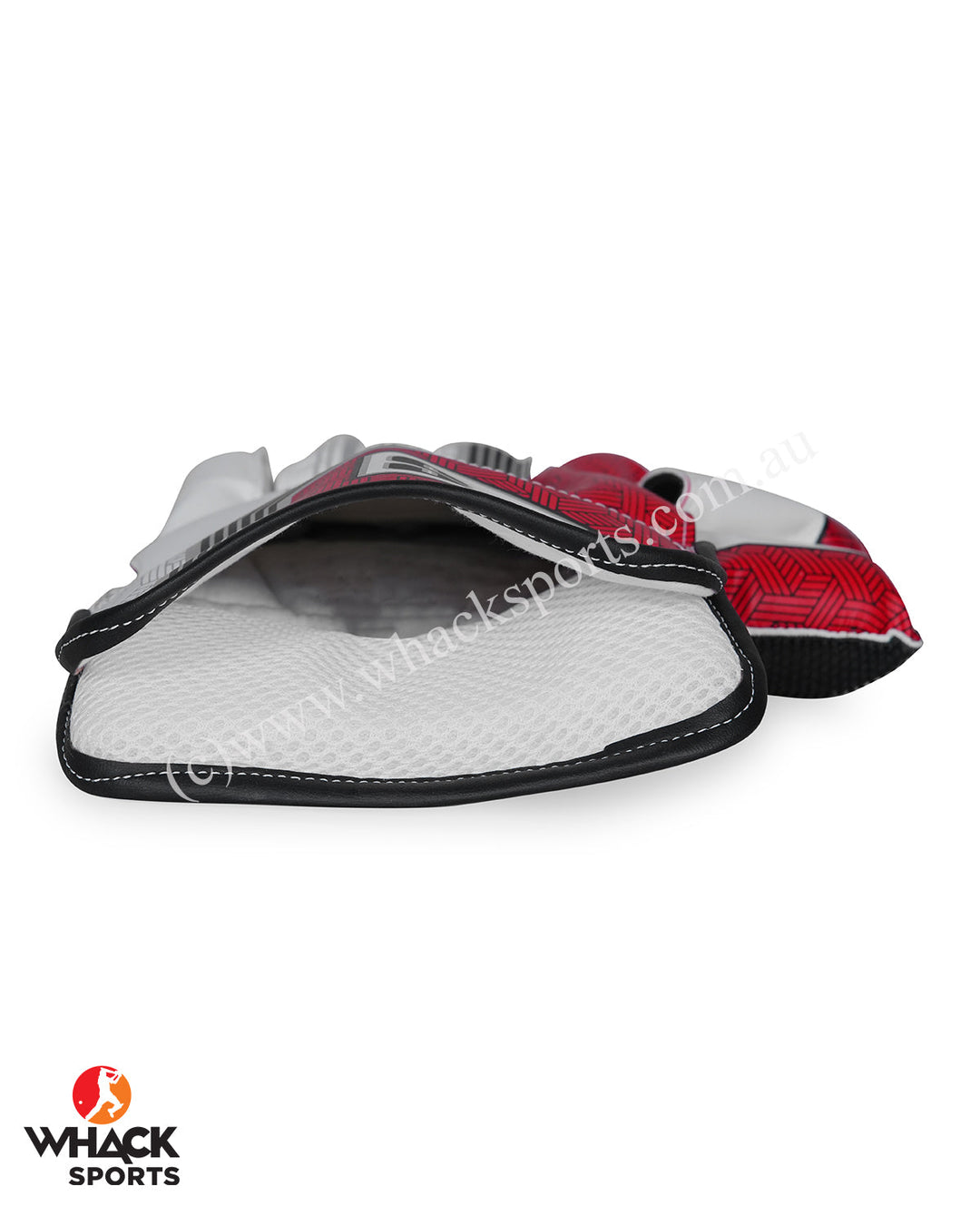 SS Dragon Cricket Keeping Gloves - Adult