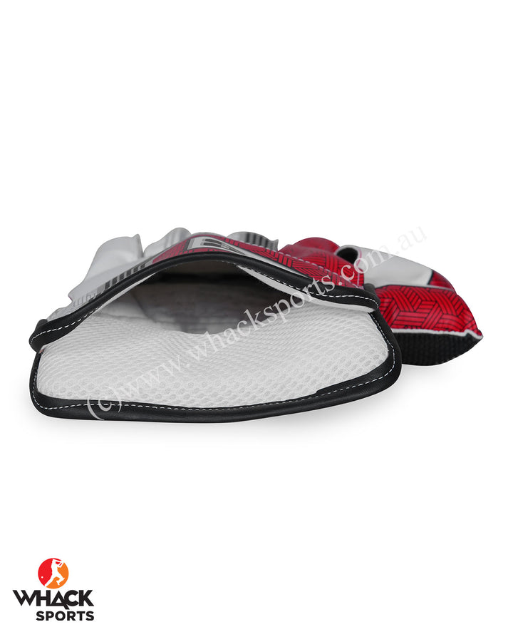 SS Dragon Cricket Keeping Gloves - Adult