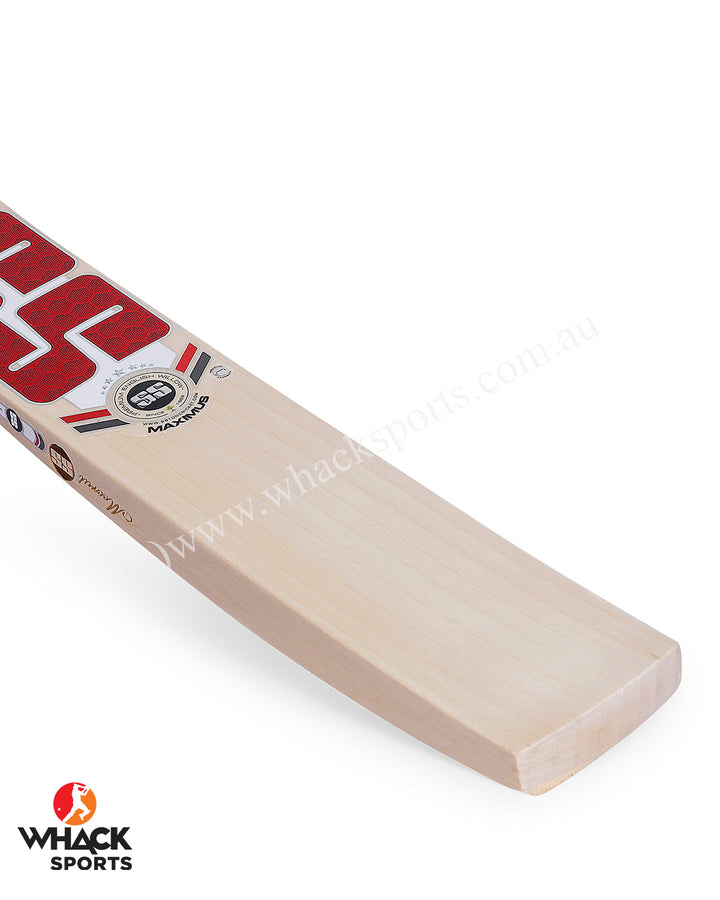 SS Maximus Player Grade English Willow Cricket Bat - SH
