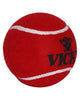Vicky Hard and Light Tennis Cricket Ball