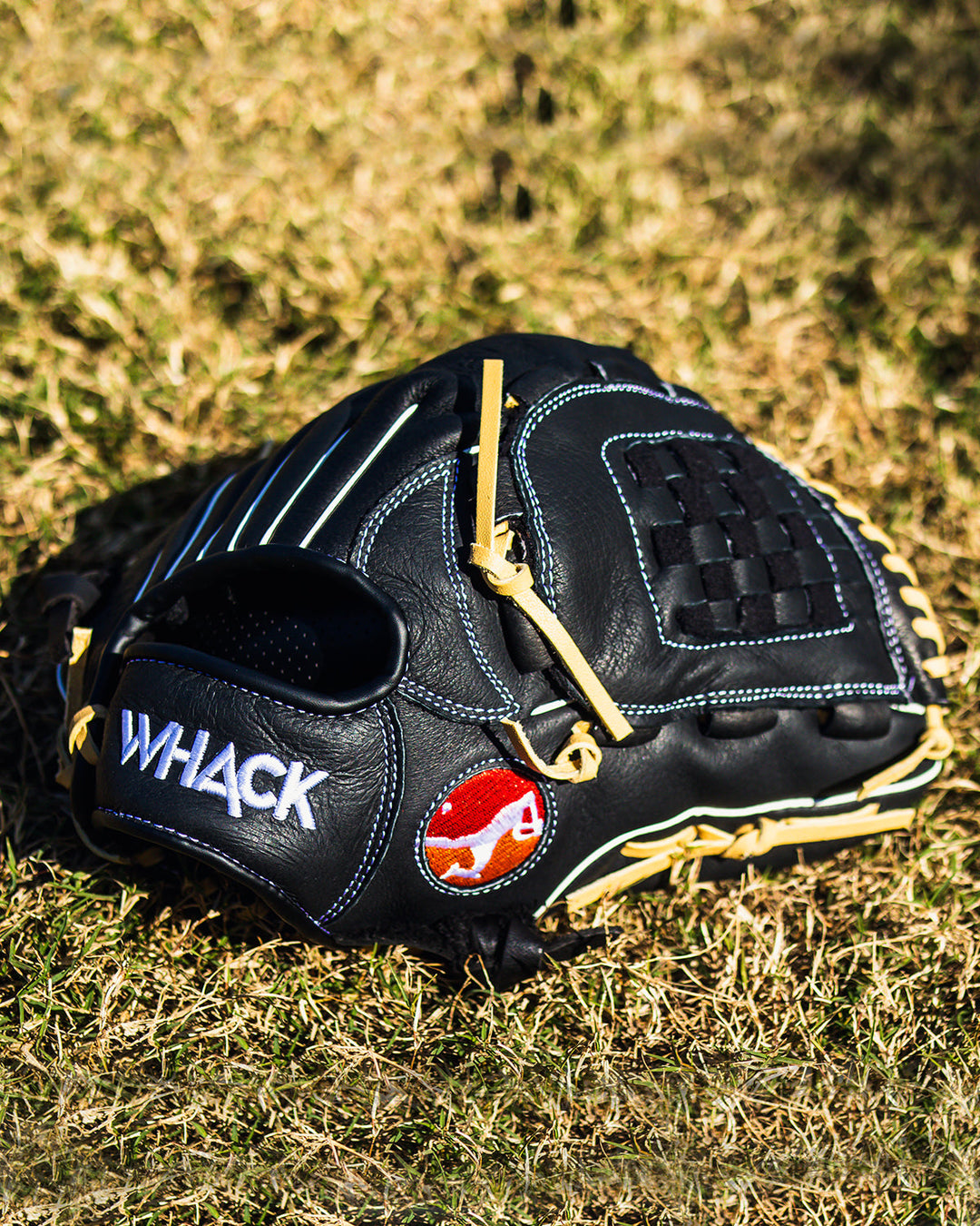 Whack Baseball Fielding/Catching Mitt - Leather