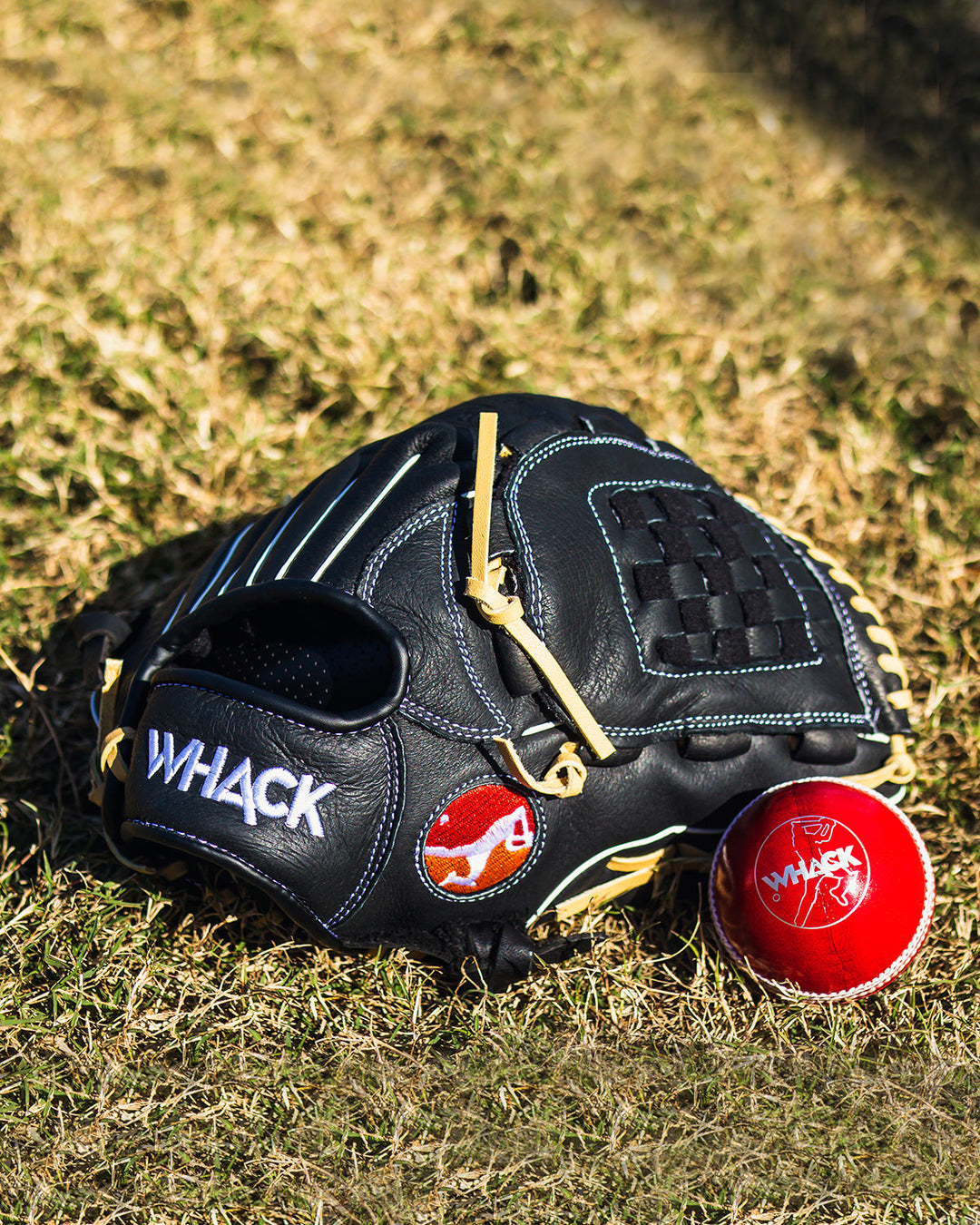 Whack Baseball Fielding/Catching Mitt - Leather
