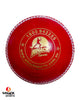 WHACK Test Leather Cricket Ball - 4 piece - 142gm - Red