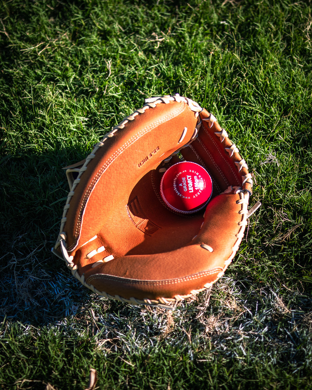 3D Baseball Catchers Mitt - Leather