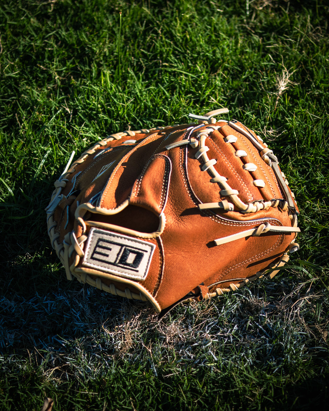 3D Baseball Catchers Mitt - Leather