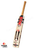 BDM Amazer Grade 1 English Willow Cricket Bat - SH