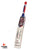 BDM Dynamic Limited Edition Player Grade English Willow Cricket Bat - SH