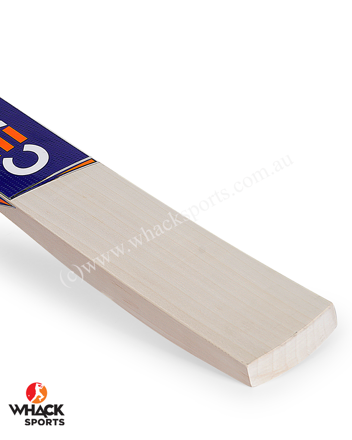 Ceat Power Gripp English Willow Cricket Bat - SH