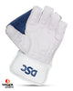 DSC 2.0 Cricket Keeping Gloves - Youth