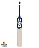 DSC Blak 300 English Willow Cricket Bat - SH