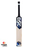 DSC Blak 300 English Willow Cricket Bat - SH