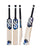 DSC Blak 300 English Willow Cricket Bat - SH