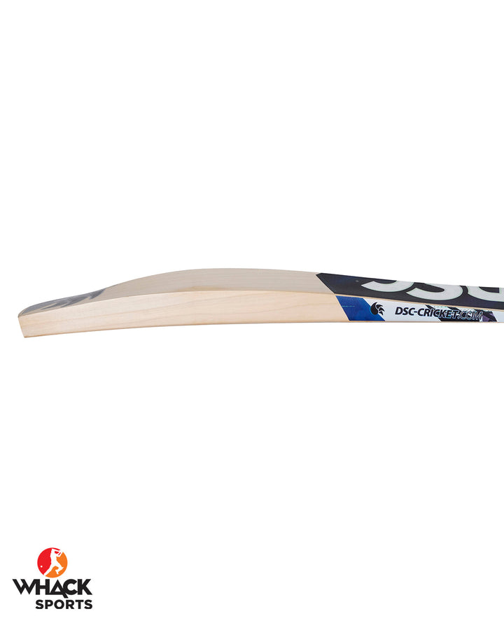DSC Blak 500 English Willow Cricket Bat - SH (2024/25)