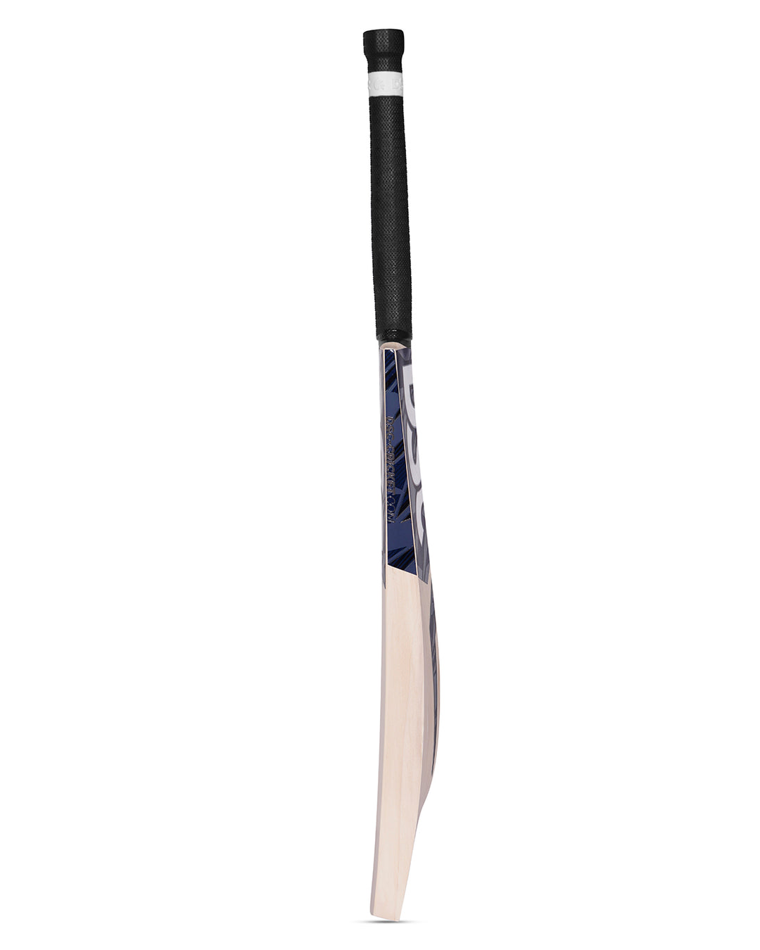 DSC Blak 600 English Willow Cricket Bat - SH