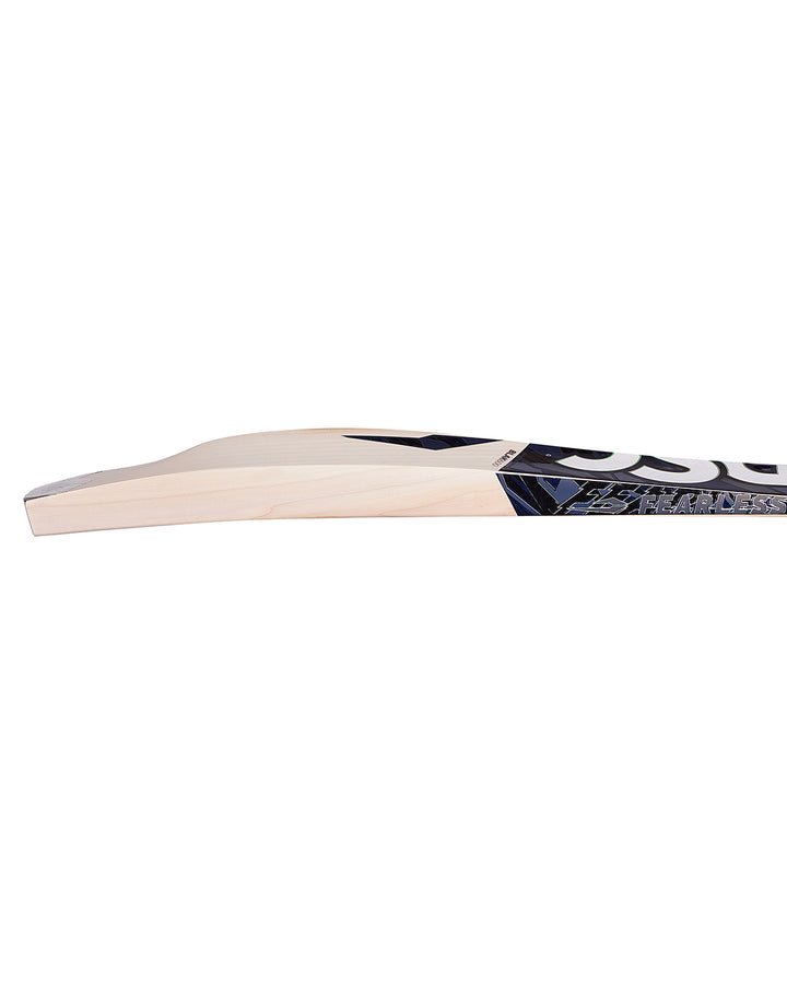 DSC Blak 600 English Willow Cricket Bat - SH