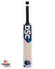 DSC Blak 600 English Willow Cricket Bat - SH