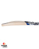 DSC Blak 600 English Willow Cricket Bat - SH