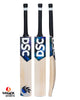 DSC Blak 700 English Willow Cricket Bat - SH