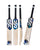 DSC Blak 700 English Willow Cricket Bat - SH