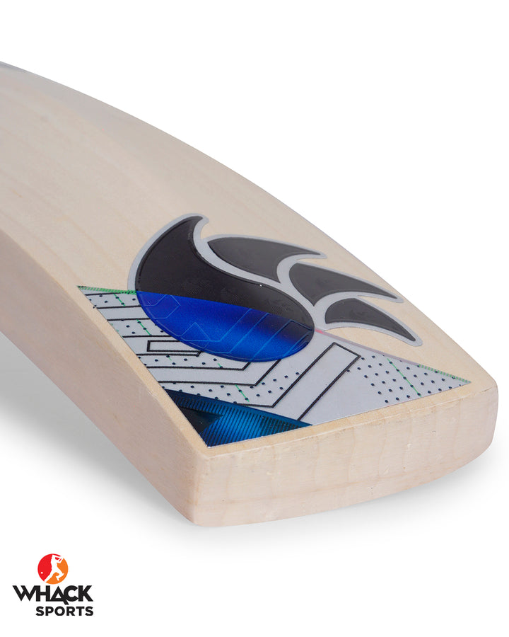 DSC Blak Pro English Willow Cricket Bat - SH (2024/25)
