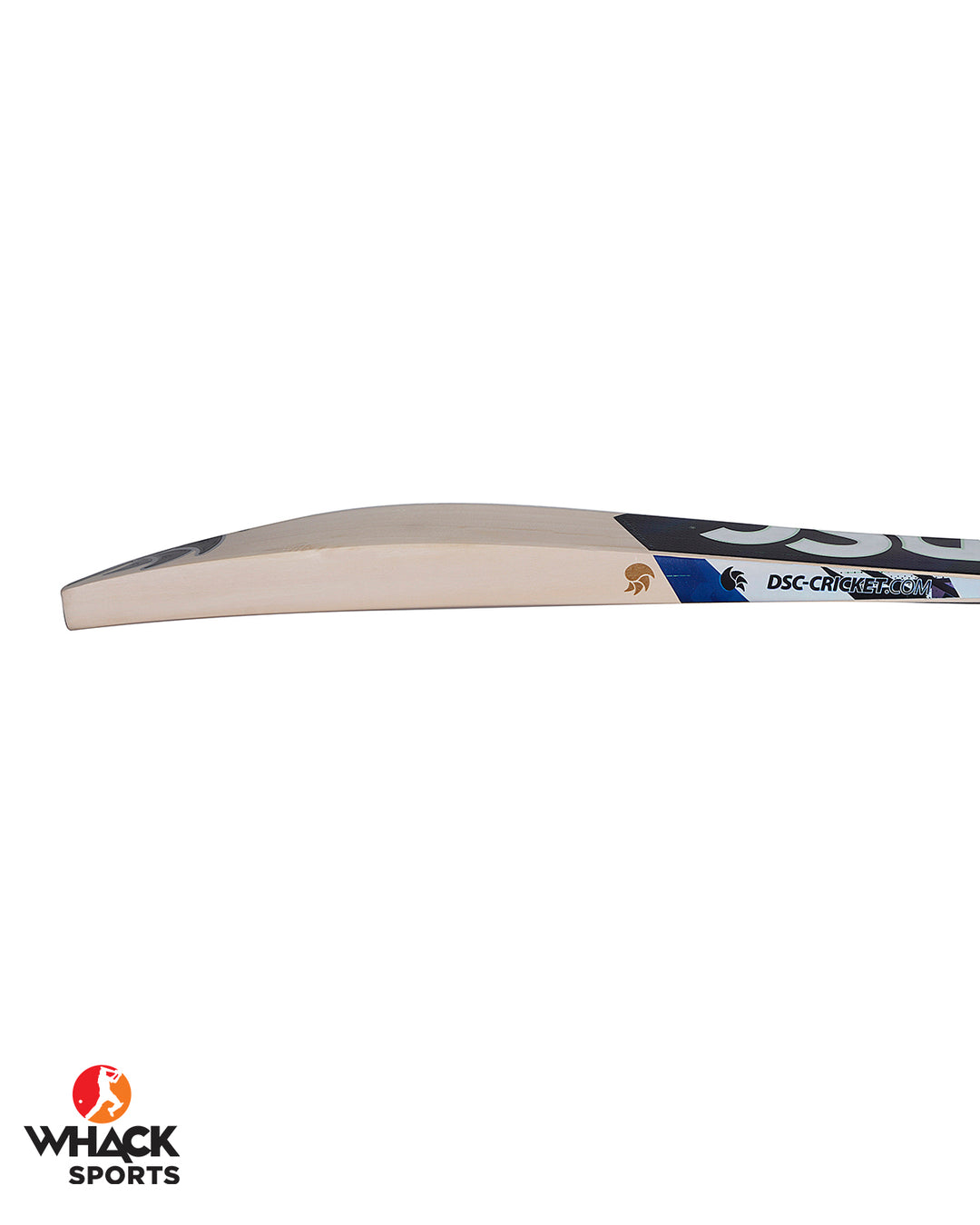 DSC Blak Pro English Willow Cricket Bat - SH (2024/25)