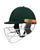 DSC Empra Stainless Steel Cricket Batting Helmet - Green