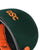 DSC Empra Stainless Steel Cricket Batting Helmet - Green