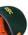 DSC Empra Titanium Cricket Batting Helmet - Green - Senior