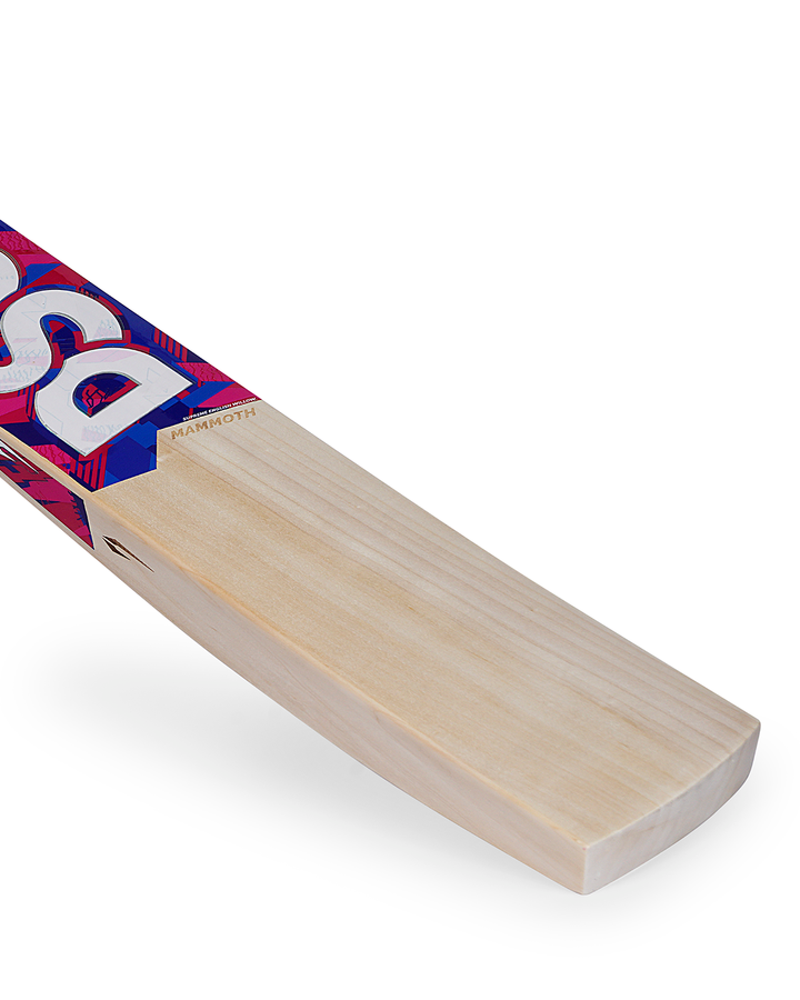 DSC Eureka Mammoth English Willow Cricket Bat - SH