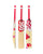 DSC FLIP 9000 English Willow Cricket Bat - Boys/Junior