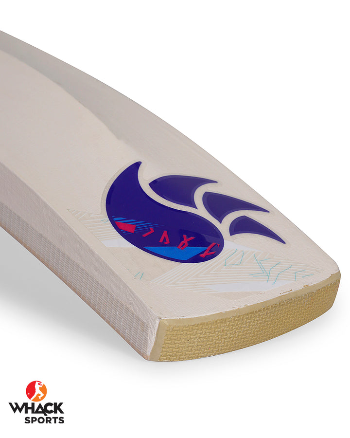 DSC Intense 9000 English Willow Cricket Bat - Boys/Junior (2024/25)