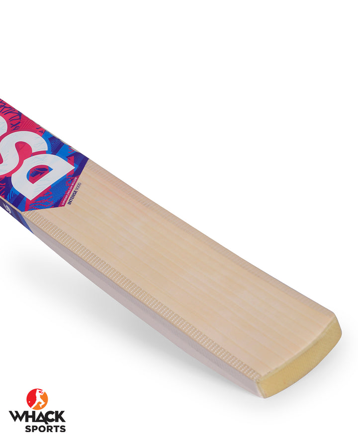 DSC Intense 9000 English Willow Cricket Bat - Boys/Junior (2024/25)