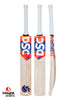 DSC Krunch DW 6000 English Willow Cricket Bat - Senior LB