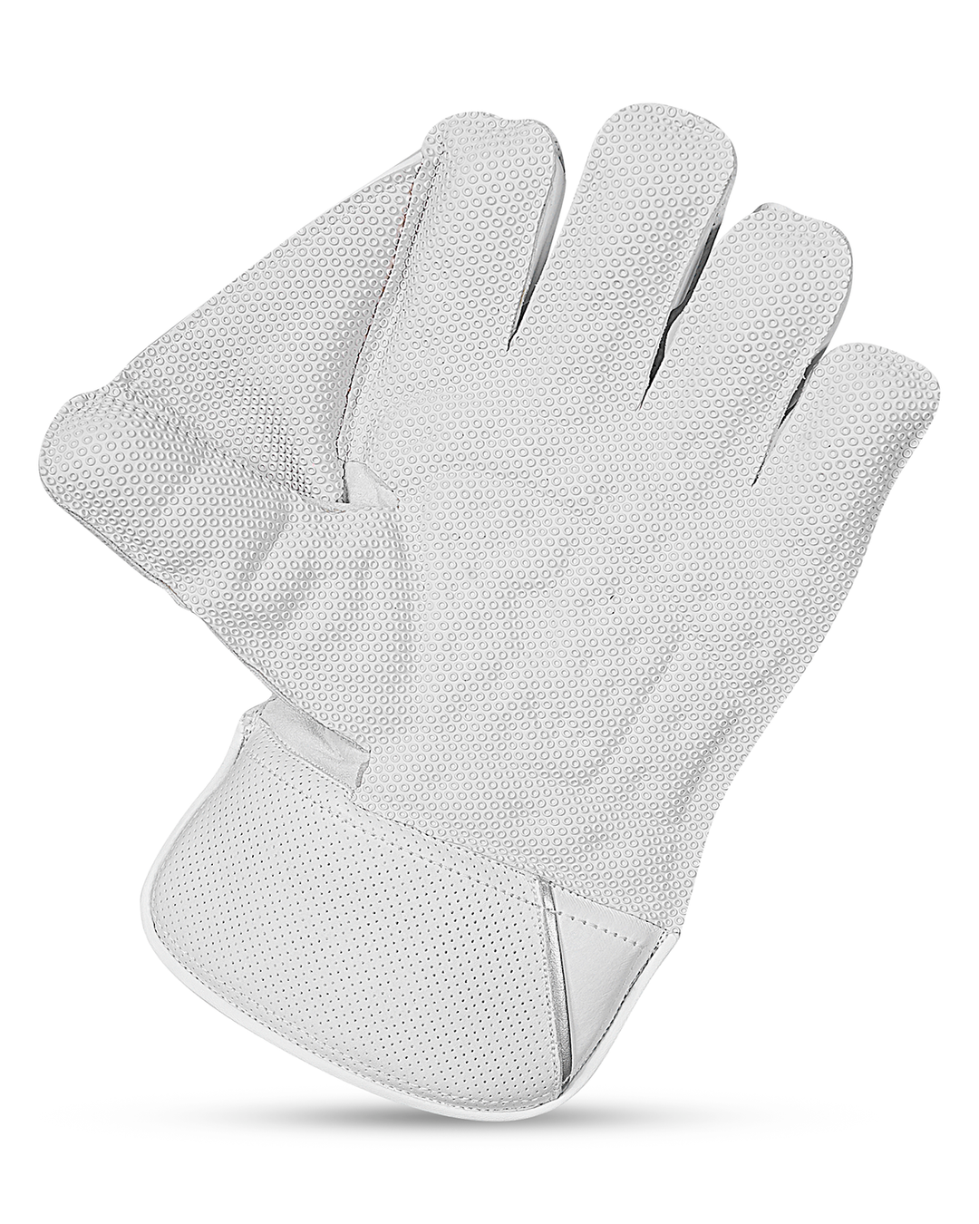 DSC Player Cricket Keeping Gloves - Adult
