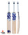 DSC Pearla Glow English Willow Cricket Bat - SH