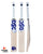 DSC Pearla Shine English Willow Cricket Bat - SH